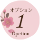 オプション4
