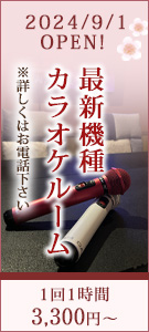 最新機種カラオケルーム